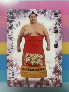 大相撲 逸ノ城の手形色紙と反物 大相撲 逸ノ城の手形色紙と反物