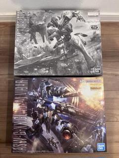 MG ガンダムバルバトスチタニウムフィニッシュ & ガンダムヴィ