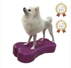 犬用バランスボール バランスボール バランスボーン 犬 筋トレ