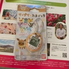 イーブイたまごっち だいすきイーブイver.