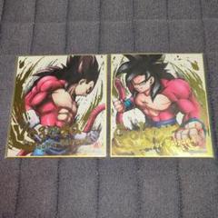 ♥1時間限定♥　ドラゴンボール ミニ色紙 超サイヤ人4 孫悟空＆ベジータ