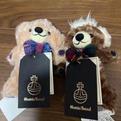 チーキー　ラッキー　アイリッシュ　シャムロック（クローバー）　メリーソート チーキー ラッキー アイリッシュ シャムロック（クローバー