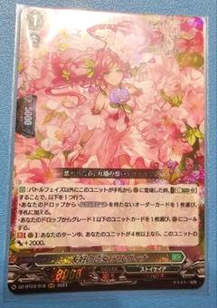 ヴァンガード アルヴィナ ブレイブシューター パンセ まとめ売り 61iUB7rNZ4L._UF350,350_QL50_.jpg