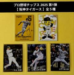 プロ野球チップス 2025 第1弾【 阪神タイガース 】全5種セットセット