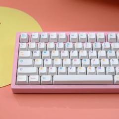 限定！【新品+新品同様】GMK Yuri R2キーキャップコレクションセット GMK CYL Yuri R2 – Oblotzky Industries