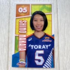 東レアローズ女子、下敷きセット