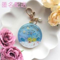 154　アクアリウム　海塗り　熱帯魚　シェイカー　カニ　レジン　カニ