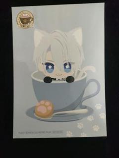 刀猫男子　とうにゃん　刀猫カフェ　缶バッジ　猫型缶バッジ　山姥切長義