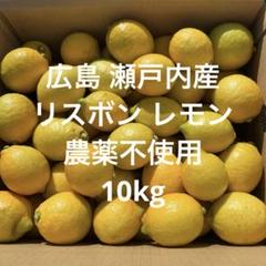 レモン 10kg 広島県産 農薬不使用のサムネイル