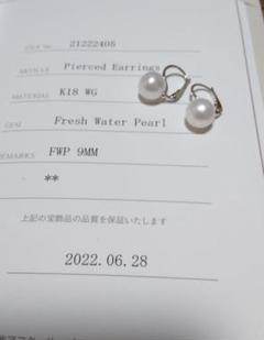 極 美品 ポンテヴェキオ K18WG パール 9mm ピアス 保証書有 ケース有のサムネイル
