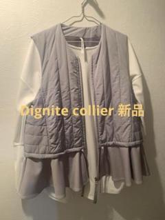 ディニテコリエ　キルティングバックフレアージレのサムネイル