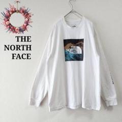THE NORTH FACE ザノースフェイス◇プリントカットソー 袖リブ L