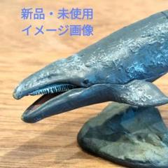 海洋堂 チョコQ チョコエッグ ニシコククジラ