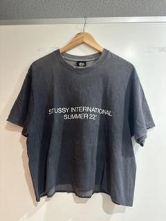 STUSSY INTERNATIONAL 22 PIGMENT DYED TEE