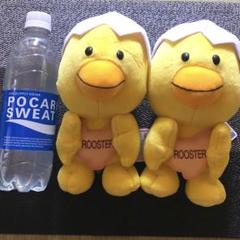 たべっ子どうぶつMサイズぬいぐるみ　ひよこ