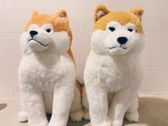 ほっこり秋田犬　はち兵衛　ぬいぐるみ ウルトラ BIG 2種セット
