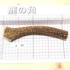 兵庫県北部産★鹿の角 まとめ売り★ 兵庫県北部産☆鹿の角 まとめ売り☆