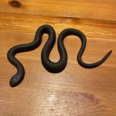 蛇 おもちゃ リアルの中古 未使用品を探そう メルカリ