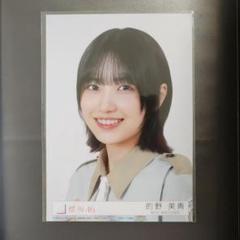 櫻坂46的野美青生写真 UDAGAWA GENERATION 封入 ヨリ - メルカリ
