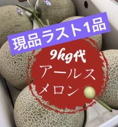 タイムセール】果物 フルーツ メロン アールスメロン 青肉 9kg