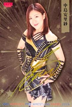 中島安里紗 激闘史　DVD１と２セット　女子プロレス [美品] Amazon.co.jp: 中島安里紗 激闘史 [DVD] : 中島安里紗: DVD