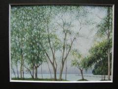 入江 観 【湖畔の樹】 希少画集画、状態良好、新品高級額装付 m93494865504_1.jpg?1702023013