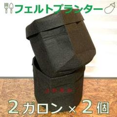 フェルトプランター/2ガロン(2個セット)園芸 ガーデニング 農具 黒