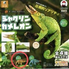 【１カートンBOX未開封】アニマリエコレクション ジャクソンカメレオン アニマリエコレクション ジャクソンカメレオン - スタジオソータ