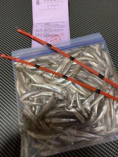 新商品竹ワカサギ穂先270ミリ