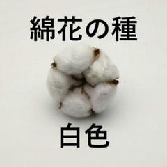 BeBe様 リクエスト 10点 まとめ商品 BEBE様 リクエスト 2点 まとめ商品 - メルカリ