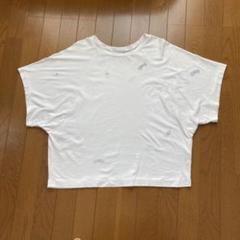 minä perhonen 刺繍デザイン 半袖Tシャツ ホワイト mina perhonen（Tシャツ(半袖/袖なし)）のフリマアイテム一覧