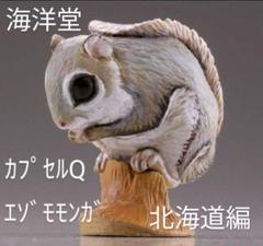 エゾモモンガ出品 2025年最新】エゾモモンガの人気アイテム - メルカリ