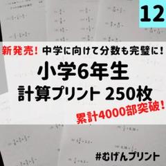 入手困難⭐おうちゼミ4年生の学習 国語 算数 理科 社会 学研おうちゼミ『4年生の学習 国語・算数・理科・社会