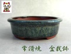盆栽鉢　常滑焼き　耀山　服部他　ミミニ盆栽 ミニ盆栽鉢 / 瀬戸焼