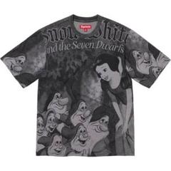 Supreme Snow White S/S Top "Grey"のサムネイル