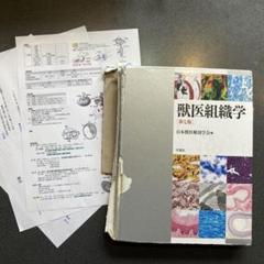 獣医組織学　第7版　学窓社 Ross組織学(原書第7版) | 内山 安男, 相磯 貞和, Wojciech