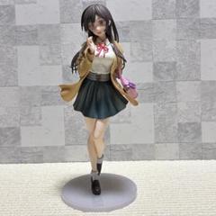 T*k様 未開封　彼女、お借りします　1巻～28巻　アクリルフィギュアプレート 未開封 彼女、お借りします 1巻～28巻 アクリルフィギュア
