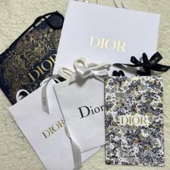 Dior ディオール ショッパー専用 ビニールバッグキット セット 確認用 Dior ディオール ショッパー専用 ビニールバッグキット