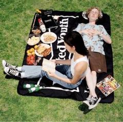 wasted youth beach blanket