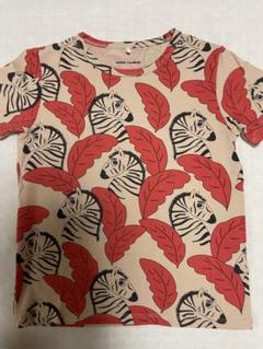 mini rodini ゼブラ柄 Tシャツ 5-7Y