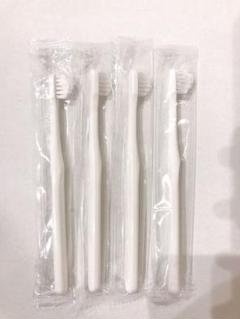 2025年最新】断捨離セール中の商品はこちらの人気アイテム