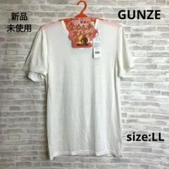 M02 GUNZE グンゼ 吸湿発熱 VネックTシャツ オフホワイト LL
