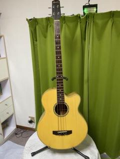 アンプラグで活躍！ 極上美品 エレアコベース低音の音抜け抜群