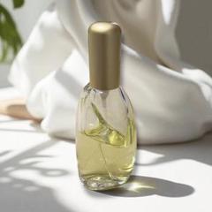 資生堂 シャンデュクール オードパルファム 50ml SHISEIDO (資生堂) - 廃盤☆SISEIDO 資生堂 シャンデュクール