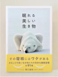 眠れる美しい生き物