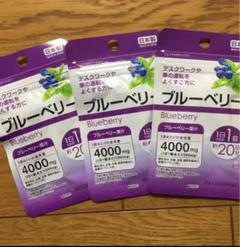 ブルーベリー 3袋セット サプリメント