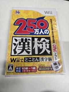 ★送料無料★　財団法人日本漢字能力検定協会公式ソフト 250万人の漢検