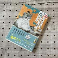 猫さえいれば、うまい飯のことは　文庫本