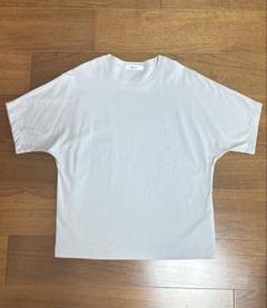 ebure コットンTシャツ クリーム38 新品未使用