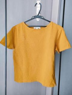 マスタード　Tシャツ